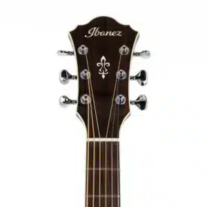 ibanez ae800 nt