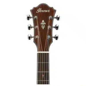 ibanez ae900 nt 1