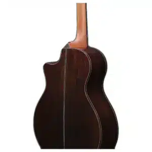 ibanez ae900 nt