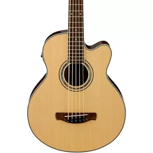 ibanez aeb105e nt 1