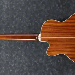 ibanez aeb105e nt
