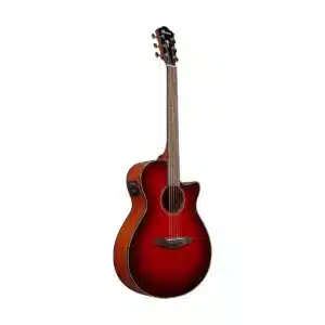 ibanez aeg51 trh 1