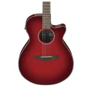 ibanez aeg51 trh