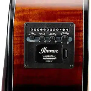 ibanez aewc400 ams 1