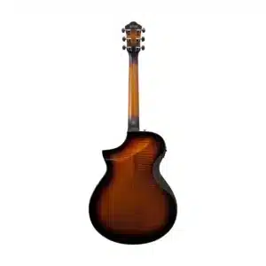 ibanez aewc400 ams 4