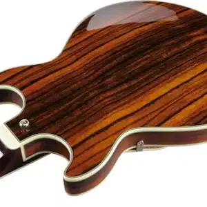 Đàn Guitar Điện Ibanez Artcore Expressionist AM93ME NT Semi Hollow màu Macassar Ebony ibanez am93me nt 1
