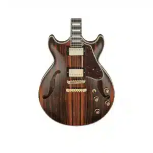 Đàn Guitar Điện Ibanez Artcore Expressionist AM93ME NT Semi Hollow màu Macassar Ebony ibanez am93me nt 3