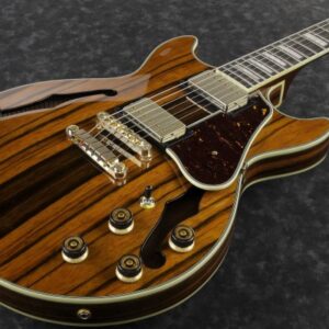 ibanez am93me nt