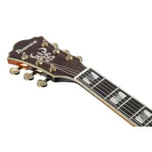 ibanez as113 bs 1