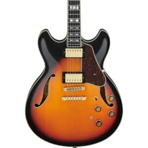 ibanez as113 bs 3