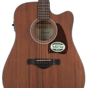 ibanez aw54ce opn 1