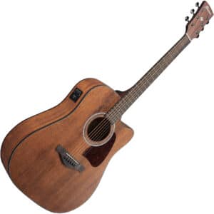 ibanez aw54ce opn 2