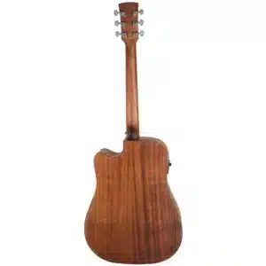 ibanez aw54lce opn 1