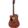 ibanez aw54lce opn 3