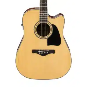 ibanez aw70ece nt 1