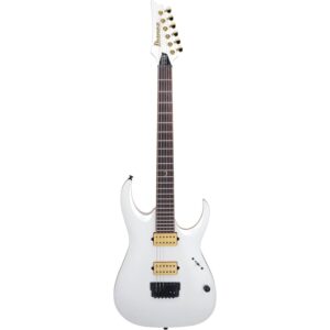 ibanez jbm10fx pwm 3