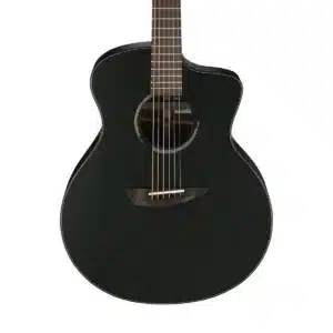 ibanez jgm10 bsn 2