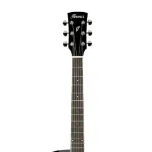 ibanez pf15ece bk 1