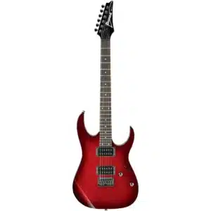 ibanez rg421 bbs 3