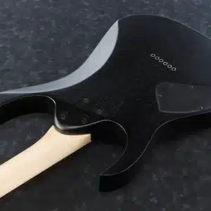Đàn Guitar Điện Ibanez RG421 WK Dòng RG 24 Phím Bridge Cố Định Màu Weathered Black ibanez rg421 wk 1