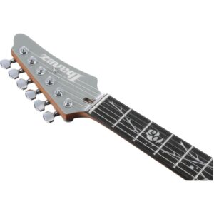 ibanez tod10 classic silver 2