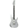 ibanez tod10 classic silver 6