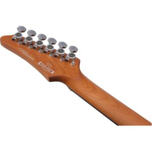 ibanez tod10 classic silver1