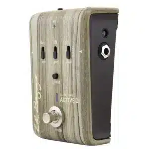 lr baggs align active di