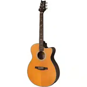 prs se a50e black gold burst1