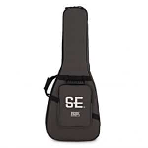 prs se silver sky ever green 1