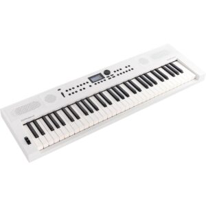 roland go keys 5 graphite 2