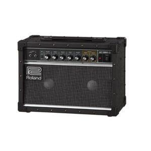 roland jc 22