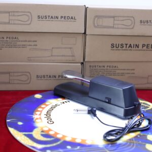 pedal sustain 2