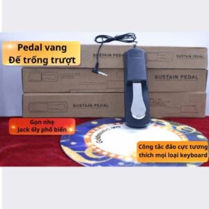 pedal sustain 6