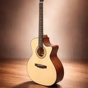 dan guitar asolid 54ca