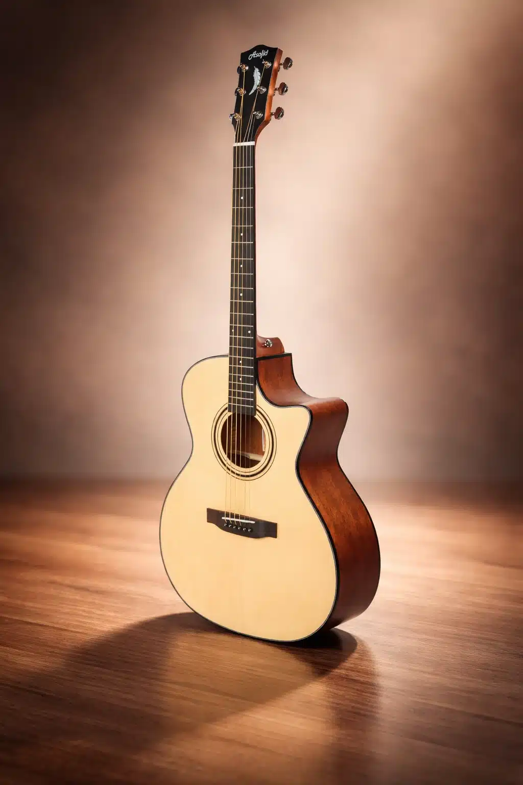 dan guitar asolid 54ca dan guitar asolid 54ca