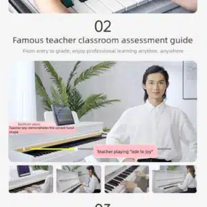 dan piano dien betsy b151 16