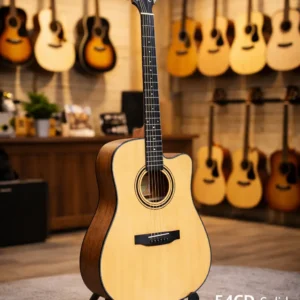 guitar asolid 54cd dang d