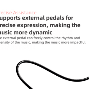 piano dien gap gon betsy b170 31