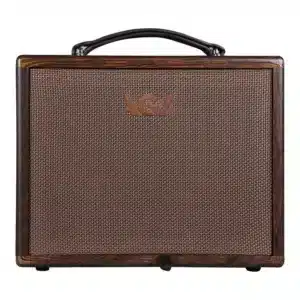 ampli dan guitar acoustic aga sc x3 bluetooth 40w 4