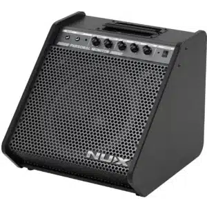 ampli trong dien nux npa 100 2