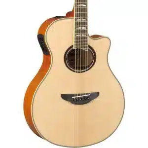 dan guitar acoustic yamaha apx1000