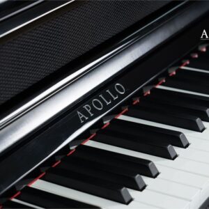 dan piano dien apollo kp88 3