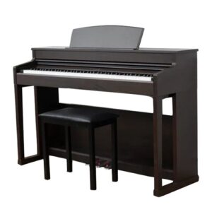 dan piano dien apollo kp88 5