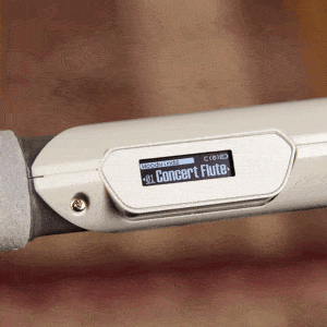 ken hoi dien roland aerophone brisa 3