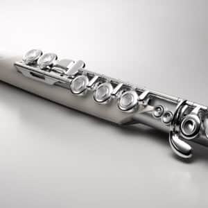 ken hoi dien roland aerophone brisa 4