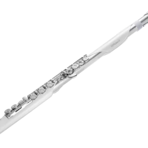 ken hoi dien roland aerophone brisa 8