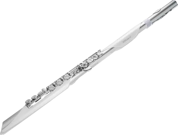 ken hoi dien roland aerophone brisa 8