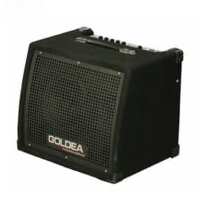 keyboard amplifier goldea kb 35 1