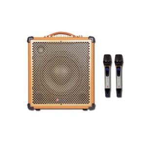 loa sumico msp10 kem micro 100w loa karaoke 2